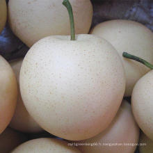 Poire dorée fraîche / poire de couronne de Chine